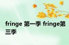 fringe 第一季 fringe第三季 