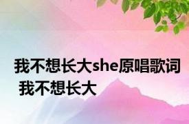 我不想长大she原唱歌词 我不想长大 