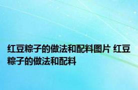 红豆粽子的做法和配料图片 红豆粽子的做法和配料 