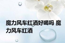 魔力风车红酒好喝吗 魔力风车红酒 