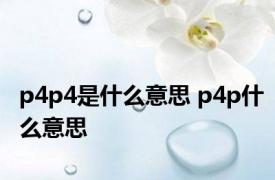 p4p4是什么意思 p4p什么意思 