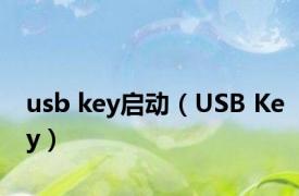 usb key启动（USB Key）