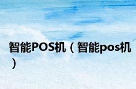 智能POS机（智能pos机）