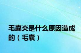 毛囊炎是什么原因造成的（毛囊）