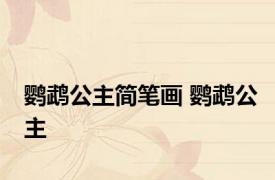 鹦鹉公主简笔画 鹦鹉公主 