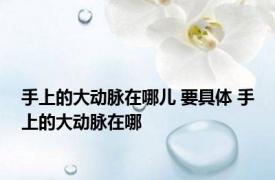 手上的大动脉在哪儿 要具体 手上的大动脉在哪 