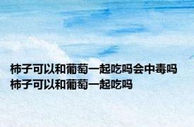柿子可以和葡萄一起吃吗会中毒吗 柿子可以和葡萄一起吃吗 