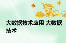 大数据技术应用 大数据技术 