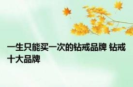 一生只能买一次的钻戒品牌 钻戒十大品牌 