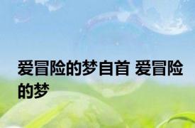 爱冒险的梦自首 爱冒险的梦 
