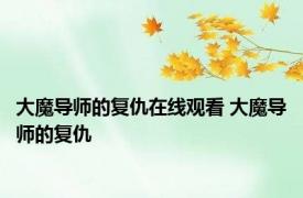 大魔导师的复仇在线观看 大魔导师的复仇 