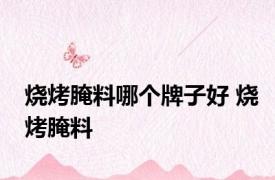 烧烤腌料哪个牌子好 烧烤腌料 