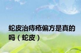 蛇皮治痔疮偏方是真的吗（蛇皮）