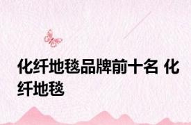 化纤地毯品牌前十名 化纤地毯 
