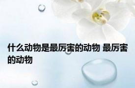 什么动物是最厉害的动物 最厉害的动物 