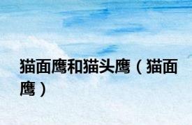 猫面鹰和猫头鹰（猫面鹰）