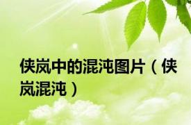 侠岚中的混沌图片（侠岚混沌）