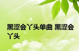 黑涩会丫头单曲 黑涩会丫头 