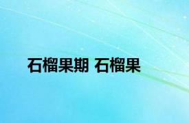 石榴果期 石榴果 