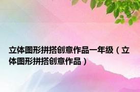 立体图形拼搭创意作品一年级（立体图形拼搭创意作品）