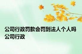 公司行政罚款会罚到法人个人吗 公司行政 