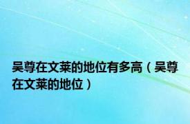 吴尊在文莱的地位有多高（吴尊在文莱的地位）