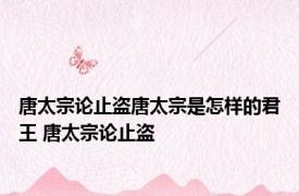 唐太宗论止盗唐太宗是怎样的君王 唐太宗论止盗 