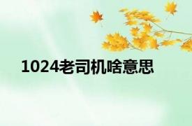 1024老司机啥意思