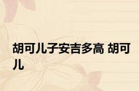 胡可儿子安吉多高 胡可儿 