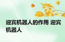 迎宾机器人的作用 迎宾机器人 