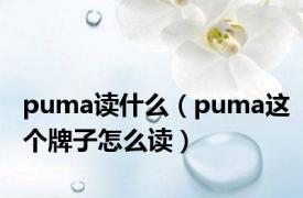 puma读什么（puma这个牌子怎么读）
