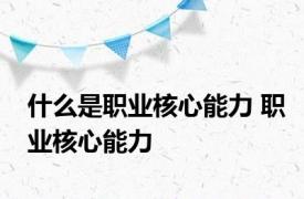 什么是职业核心能力 职业核心能力 