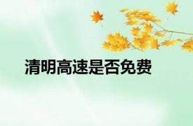 清明高速是否免费