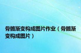 骨骼渐变构成图片作业（骨骼渐变构成图片）