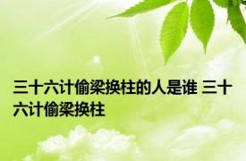 三十六计偷梁换柱的人是谁 三十六计偷梁换柱 