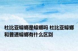 杜比亚蟑螂是蟑螂吗 杜比亚蟑螂和普通蟑螂有什么区别