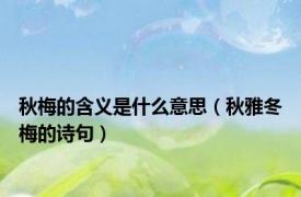 秋梅的含义是什么意思（秋雅冬梅的诗句）