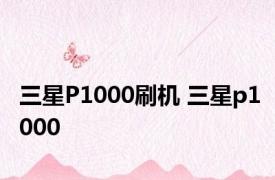 三星P1000刷机 三星p1000 
