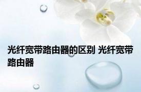 光纤宽带路由器的区别 光纤宽带路由器 