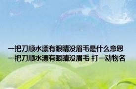 一把刀顺水漂有眼睛没眉毛是什么意思 一把刀顺水漂有眼睛没眉毛 打一动物名