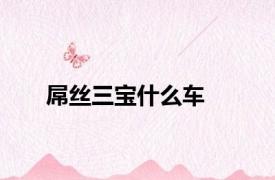 屌丝三宝什么车