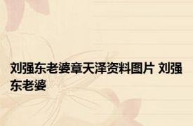 刘强东老婆章天泽资料图片 刘强东老婆 