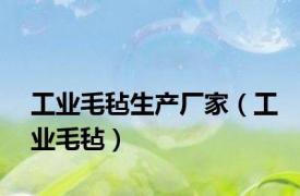 工业毛毡生产厂家（工业毛毡）