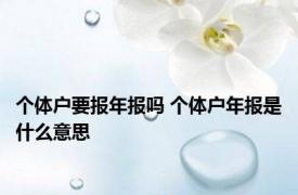 个体户要报年报吗 个体户年报是什么意思