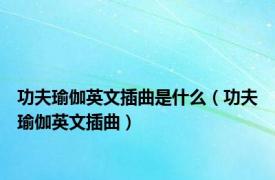 功夫瑜伽英文插曲是什么（功夫瑜伽英文插曲）