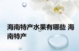 海南特产水果有哪些 海南特产 
