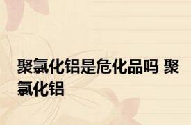 聚氯化铝是危化品吗 聚氯化铝 