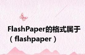 FlashPaper的格式属于（flashpaper）