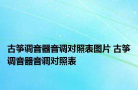 古筝调音器音调对照表图片 古筝调音器音调对照表 