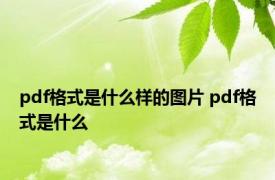 pdf格式是什么样的图片 pdf格式是什么 